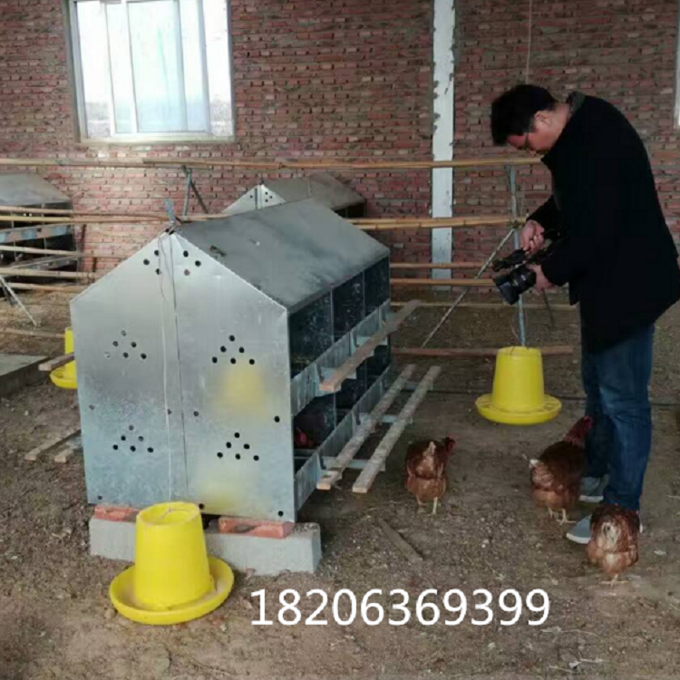 大量供应母鸡产蛋箱大量供应母鸡产蛋箱鸡用产蛋箱24穴产蛋箱