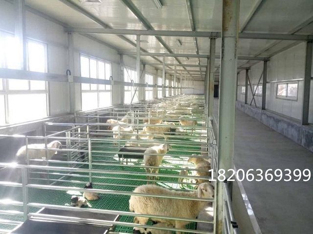 高架羊漏粪板塑料羊床板不卡羊蹄纯原料羊粪板生产厂家