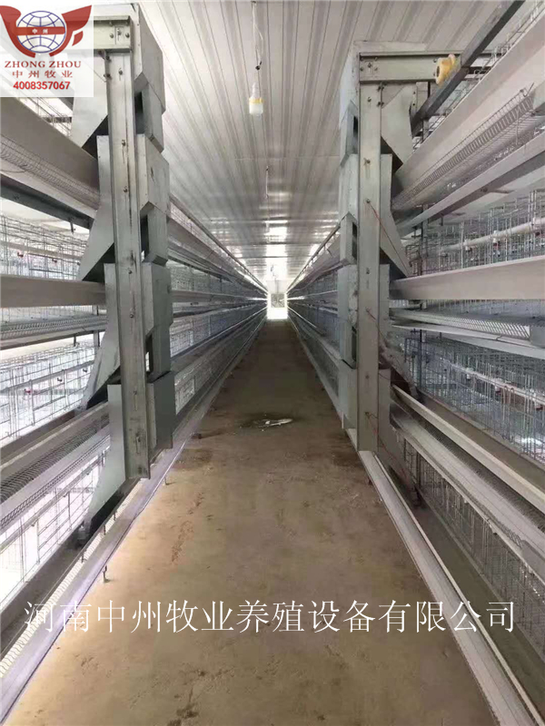 三层层叠蛋鸡笼 小层叠鸡笼设备 鸡舍专用设备