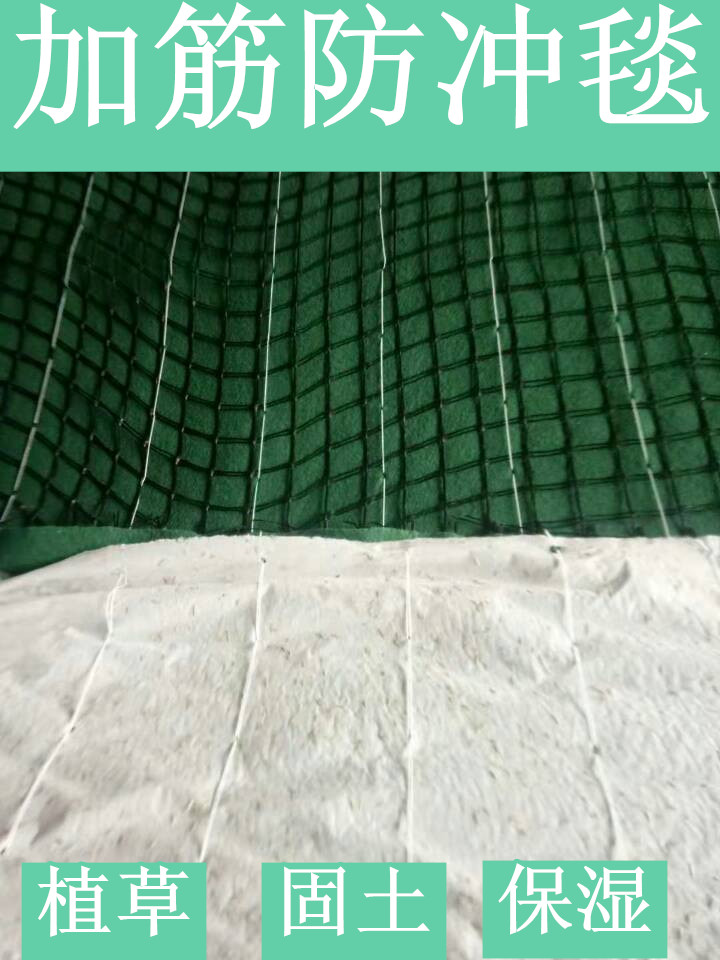 矿山修复绿化椰丝毯 加筋椰丝植草毯施工方法图片