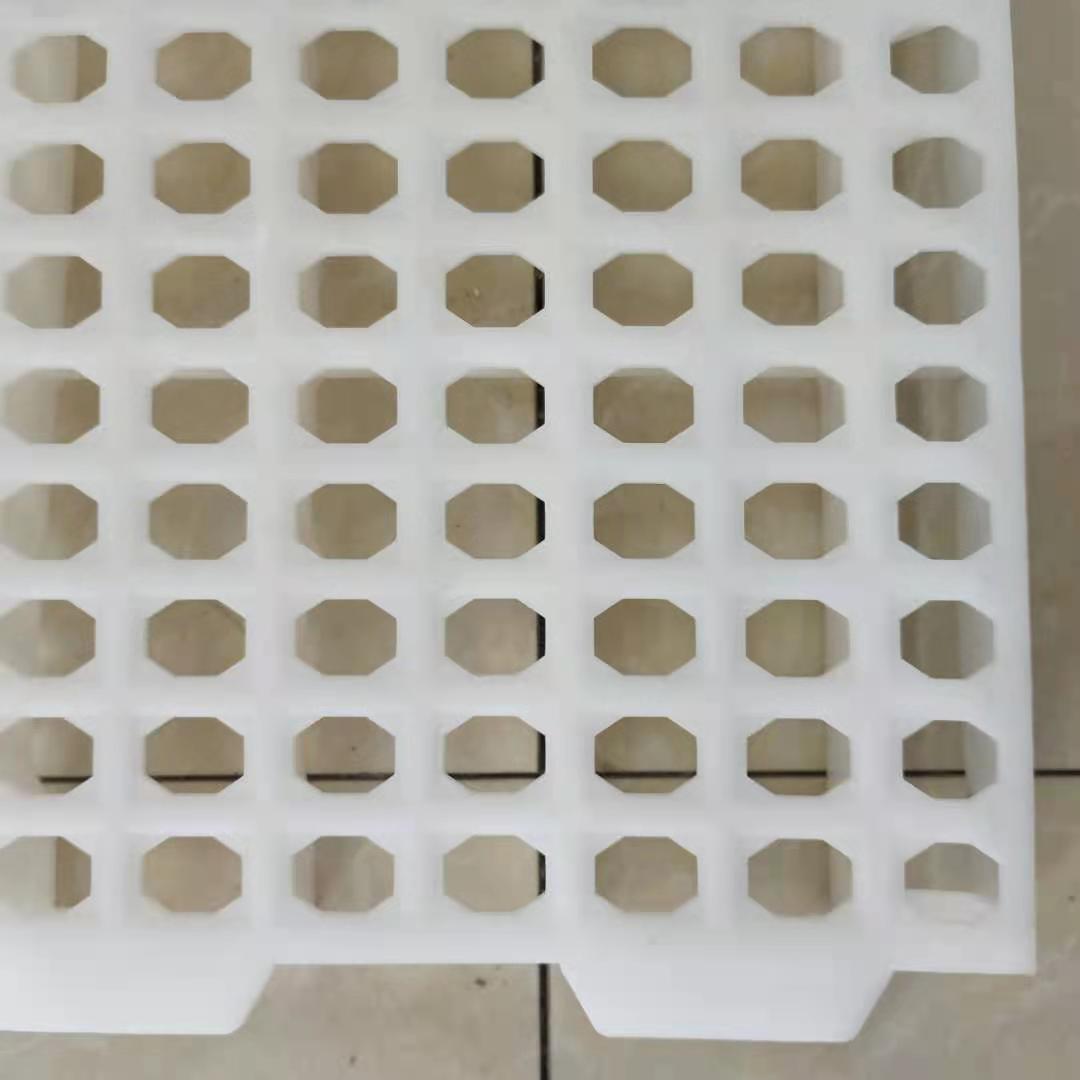 潍坊市种鸡漏粪板  塑料网床厂家