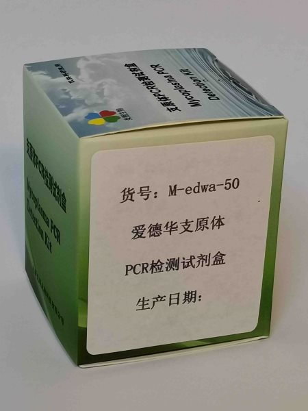 上海市爱德华支原体PCR检测试剂盒厂家