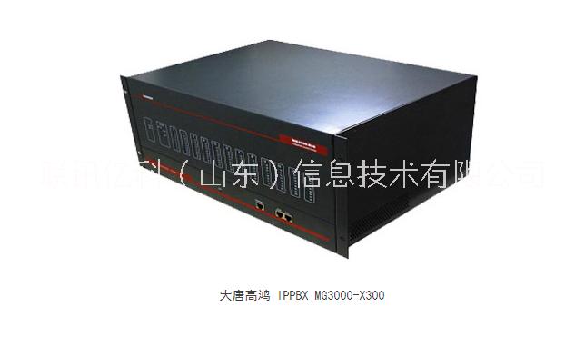 大唐MG3000-X300中小型IPPBX集团电话系统IP通信服务器SIP服务器程控电话交换机