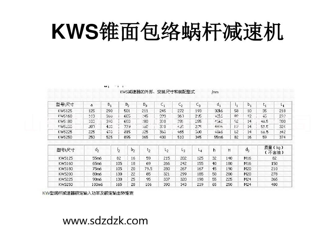 KWS锥面包络蜗杆减速机厂家报价【山东中动重科机械设备有限公司】图片