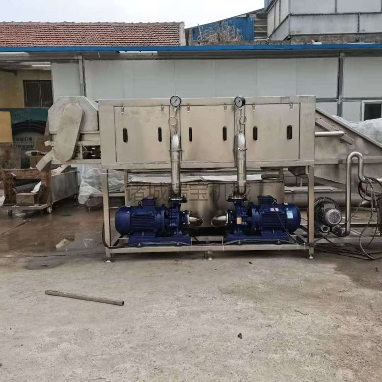 洗姜机器 瑞宝 大姜清洗机 XJ-6000型洗姜机 洗姜厂用设备