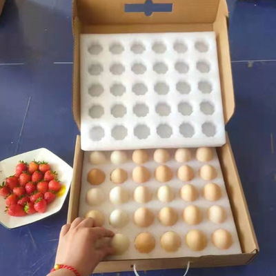 上海市礼盒蛋托厂家30枚珍珠棉鸡蛋泡沫快递运送防震防摔鸡蛋包装手提礼盒蛋托批发
