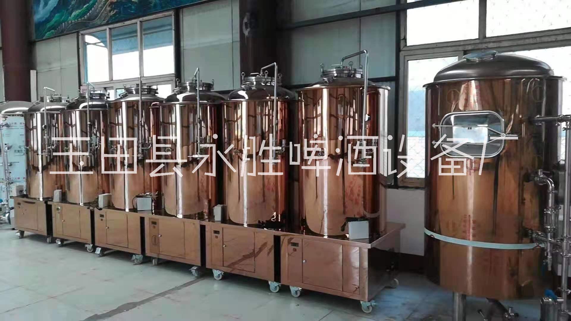 500L发酵罐