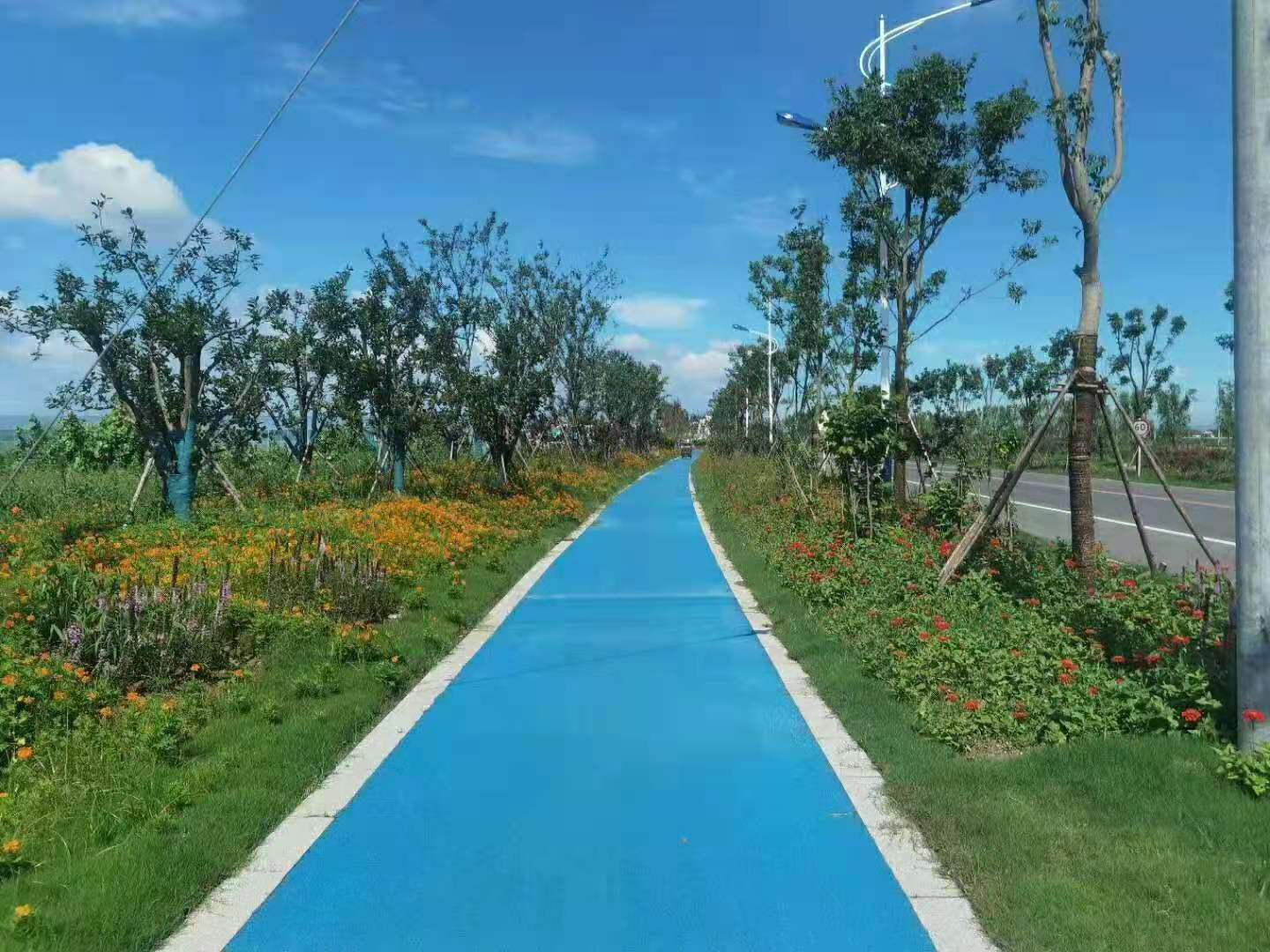 平湖彩色沥青道路公园改造现场