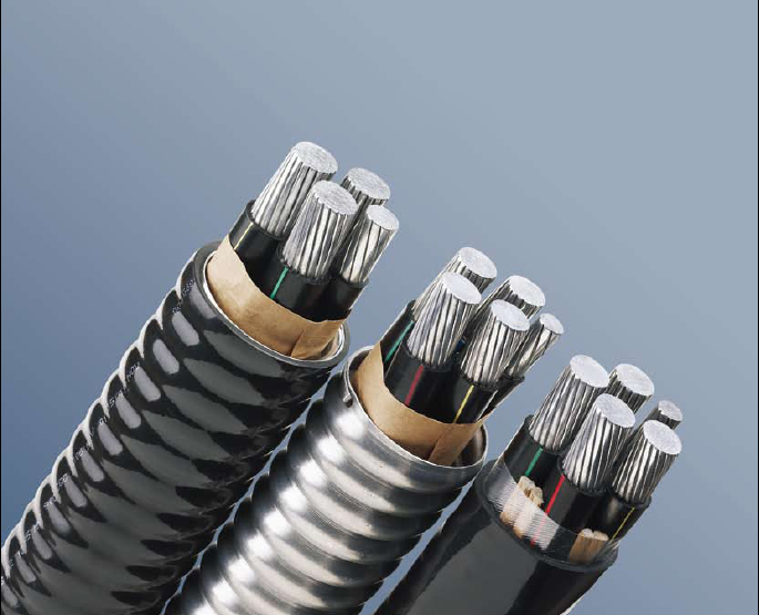 金水电缆销售部 NHYJV耐火聚乙烯绝缘低压电缆图片