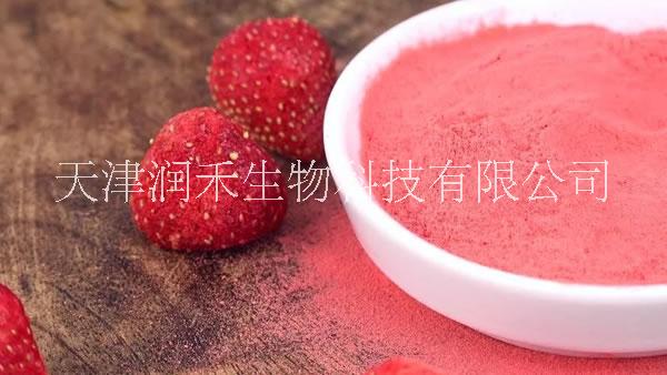 草莓粉_草莓纯粉-天津润禾生物