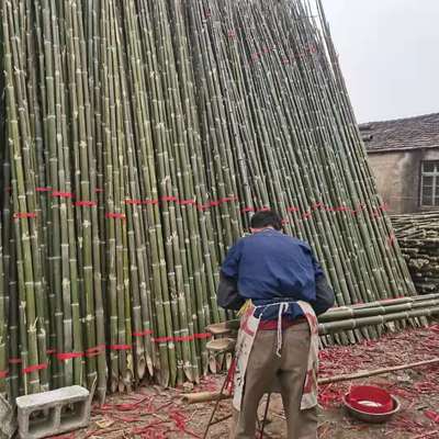 种树用竹子支撑杆厂家批发各种规格的果树木支撑杆大番茄支撑搭架