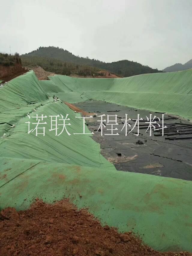 贵州土工膜HDPE膜水产鱼塘养殖防渗膜覆盖膜垃圾填埋场0.75mm图片