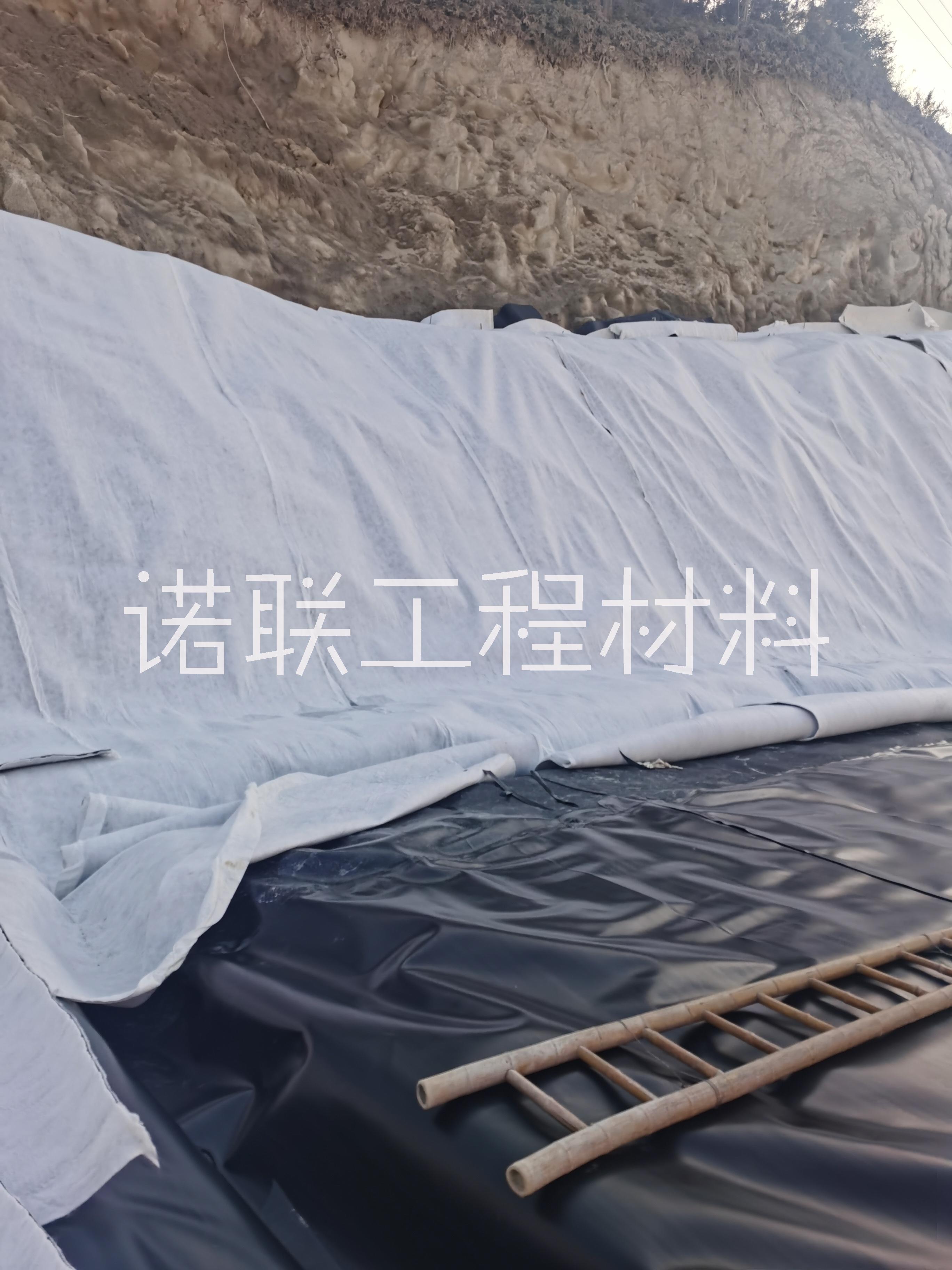 安徽土工排水板隧道排放水板三维复合排水网挡土墙用200g/4mm/200g图片