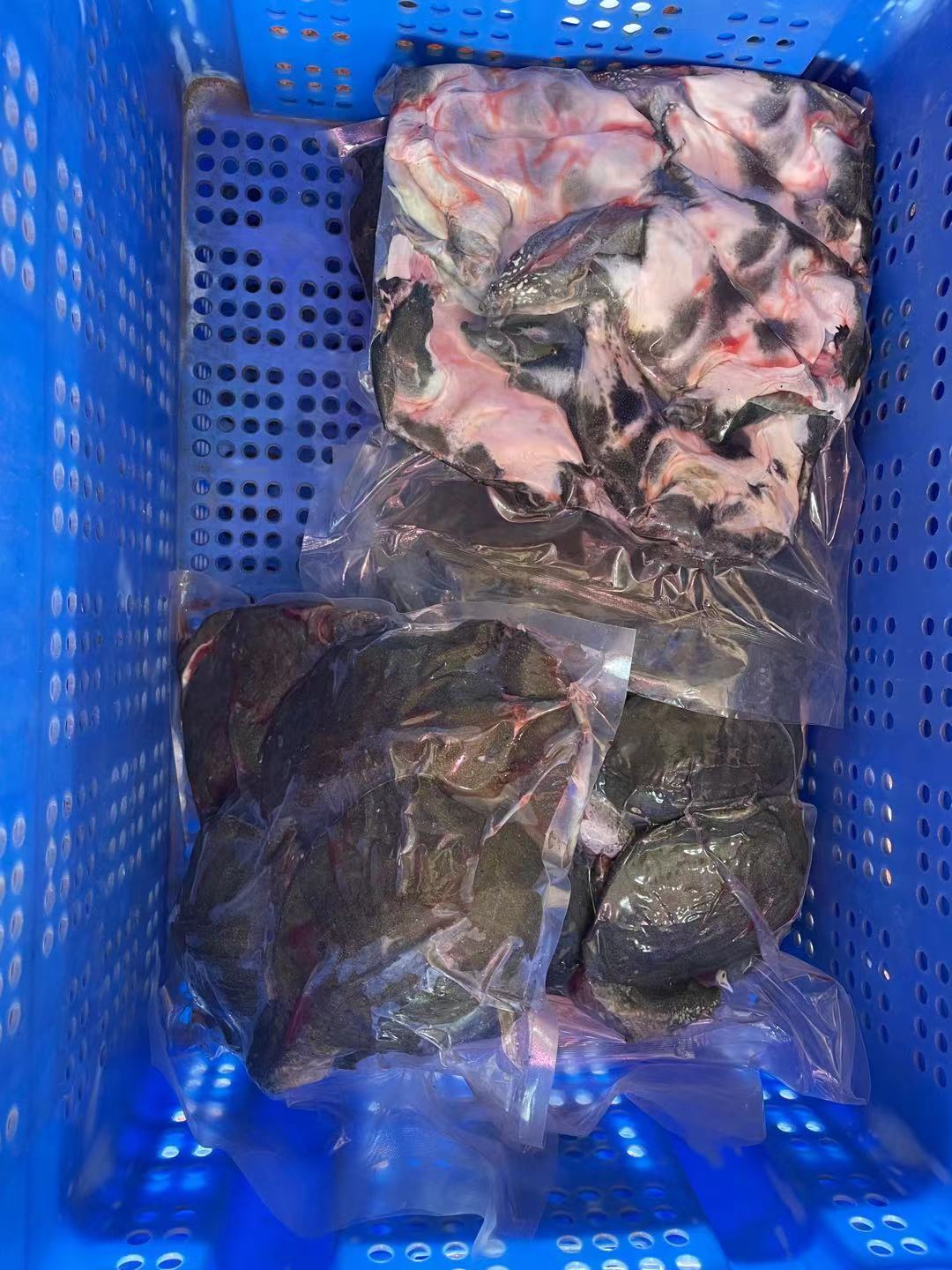 供应网红卤甲鱼现货批发价格多少钱一只、网红卤甲鱼哪家好