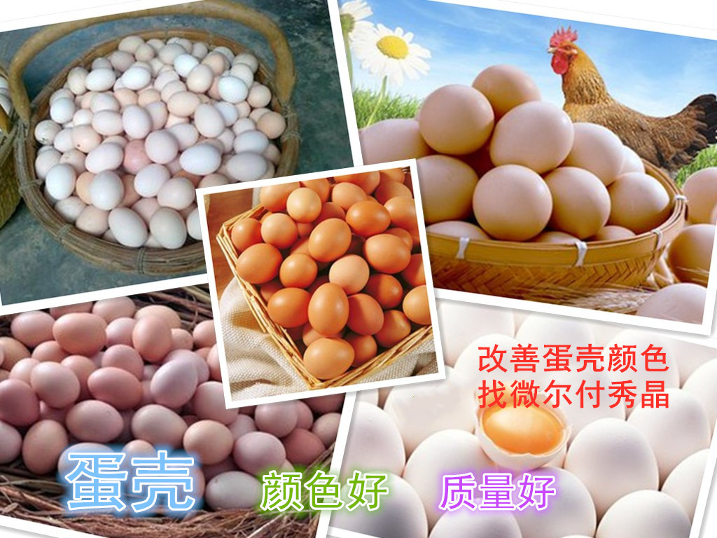 专治红壳鸡产白皮蛋用蛋鸡添加剂壳红素图片