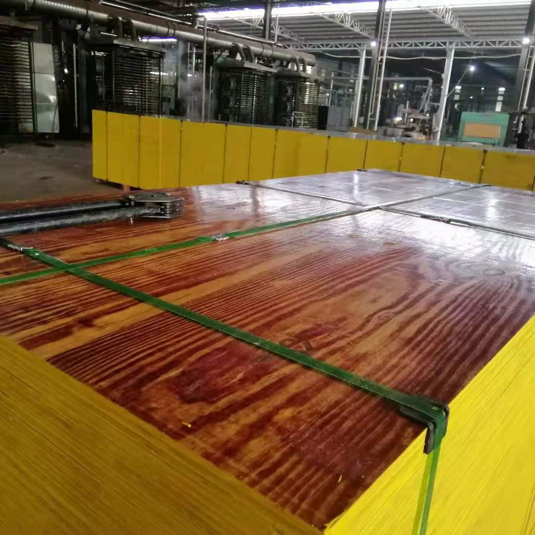 湖南覆膜板 建筑工地膜板覆膜板 厂家批发定制
