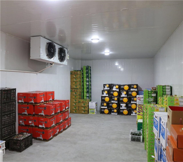 广州水果冷库生产厂家建造安装报价表