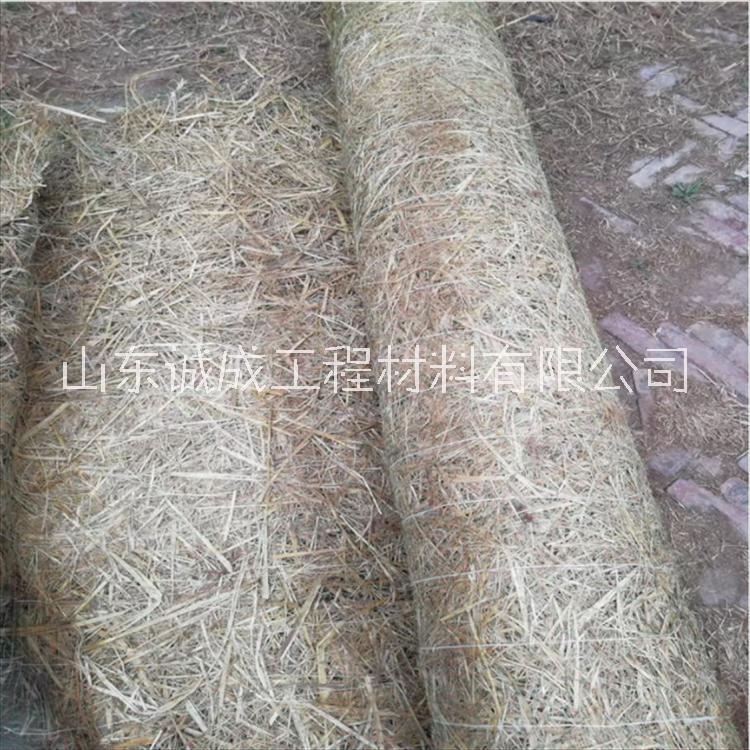 环保草毯厂家 植物纤维毯价格  荒山绿化施工方案图片
