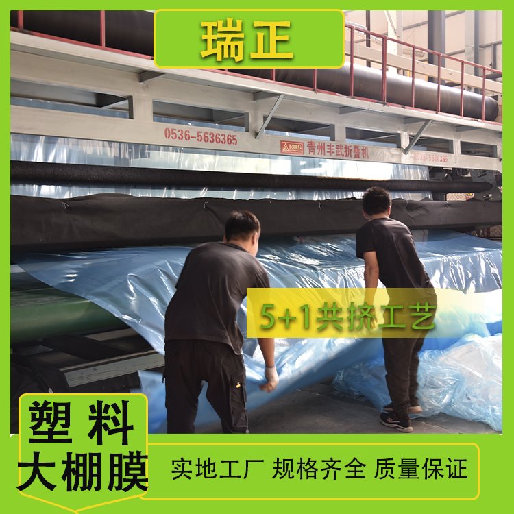 潍坊市塑料大棚膜定制厂家塑料大棚膜定制价格 蔬菜塑料大棚膜批发