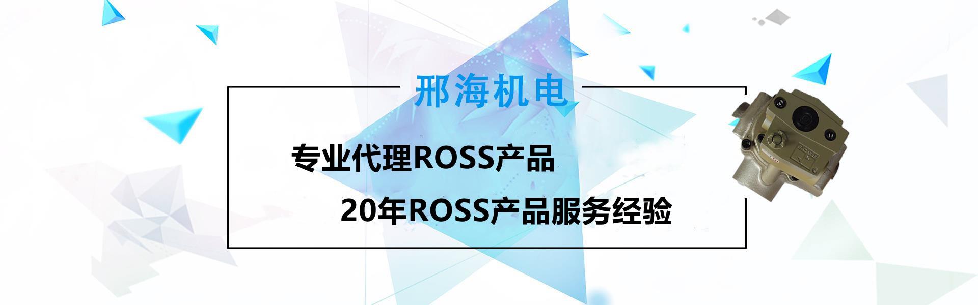 罗斯rossu厂家批发电磁阀供应J3573A6162
