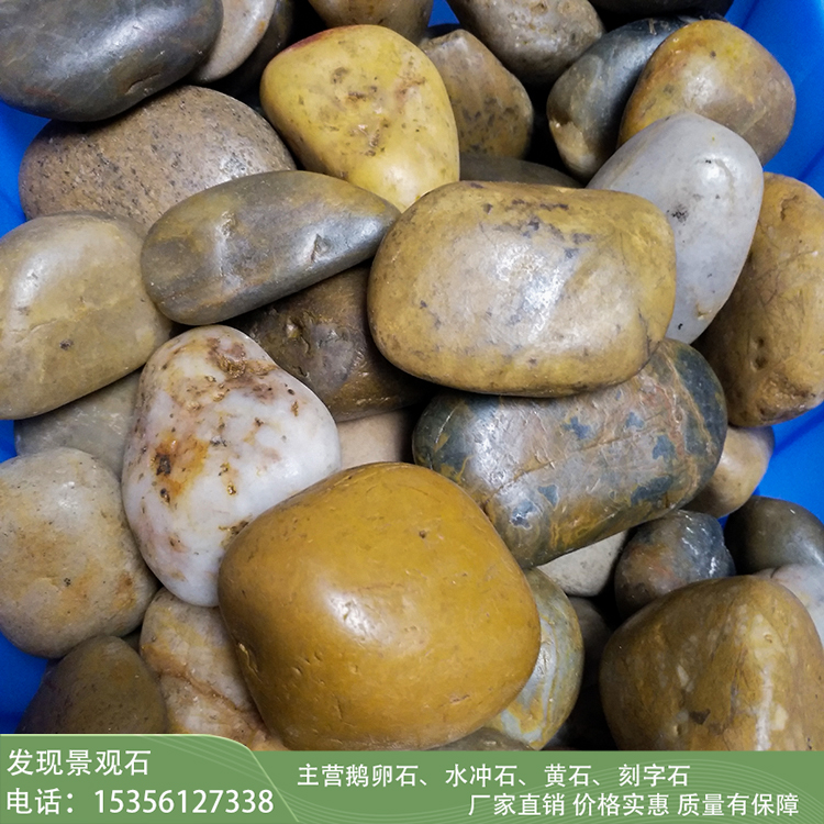 杭州发现景观石五彩鹅卵石 铺路石 幸运石 鱼缸装饰石子