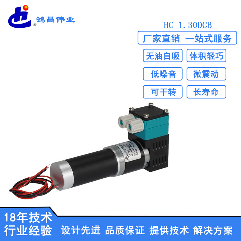 HC 1.30DCB微型液泵批发