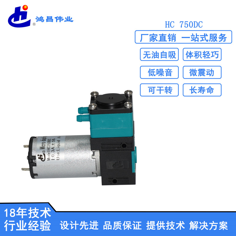 HC 750DC微型液泵定做厂家 微型液泵定批发报价