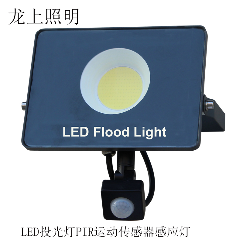 LED感应投光灯防水等级IP65批发
