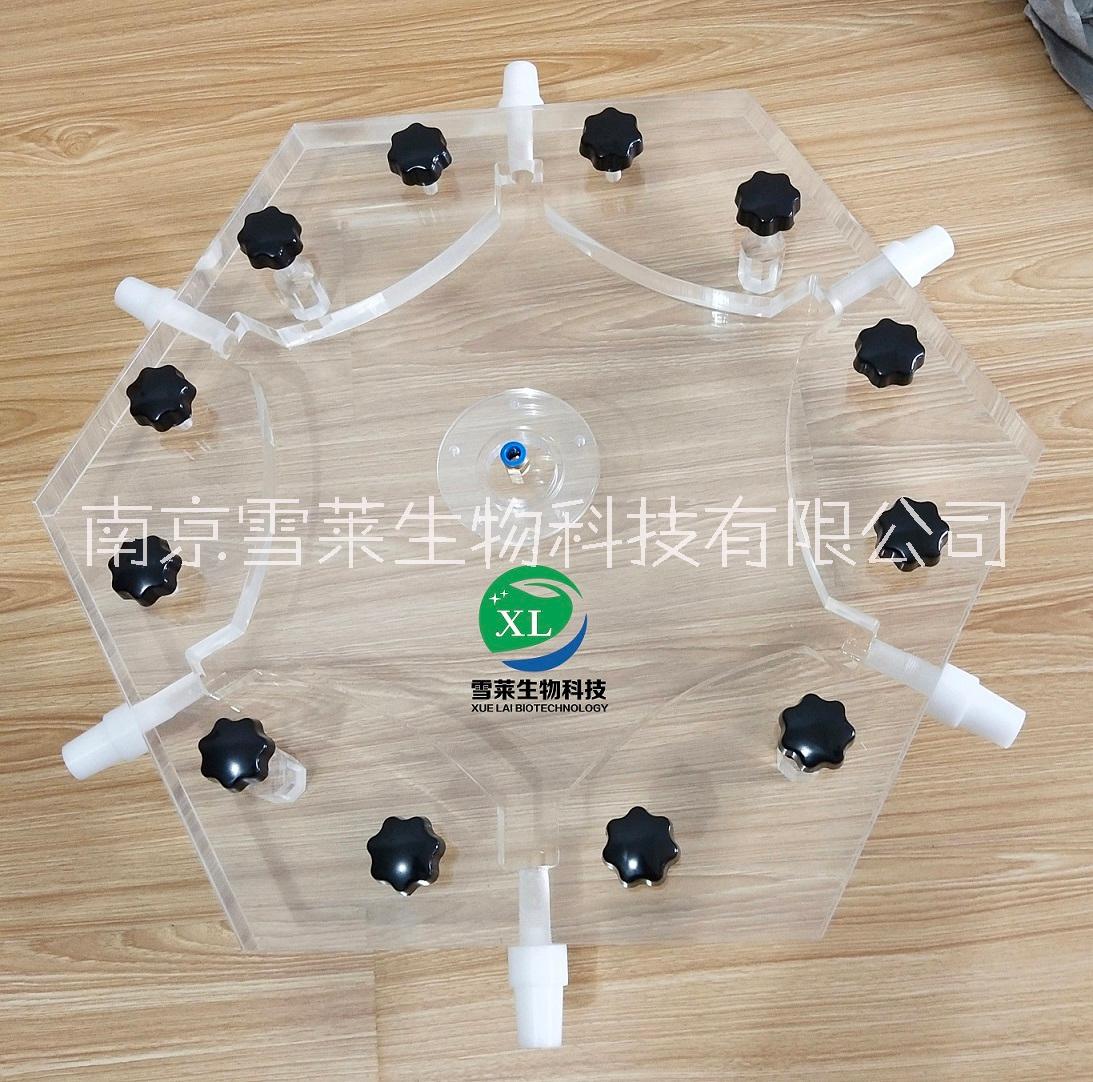 六臂昆虫嗅觉仪XLM6-300六臂昆虫嗅觉仪XLM6-300南京雪莱生物科技有限公司