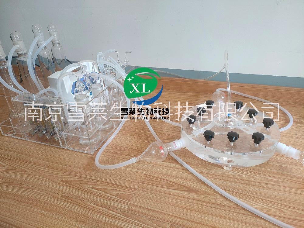 昆虫嗅觉观察室/昆虫嗅觉仪 Y型嗅觉仪XLM3-300 厂家南京雪莱