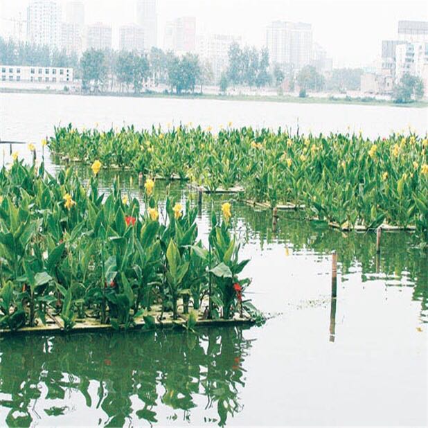 北京市水上浮床制作厂家水上浮床制作  水上浮岛制作公司