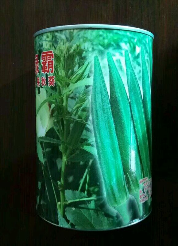 日本绿灞水果秋葵种子批发