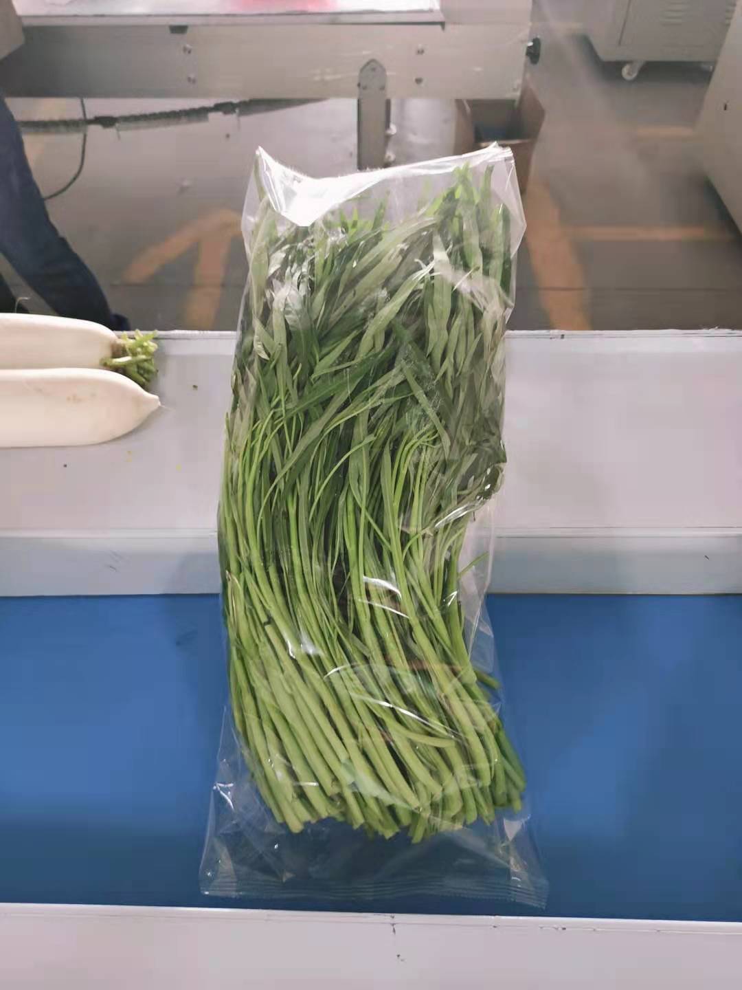枕式包装机械 蔬菜自动打包机枕式包装机械 蔬菜自动打包机