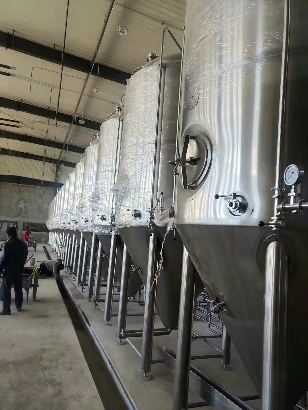 新疆大型啤酒酿造设备日产5000升啤酒设备图片