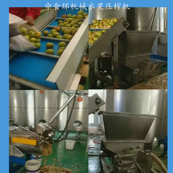 ZSHDY-5水果压榨机|水果榨汁机 图图片