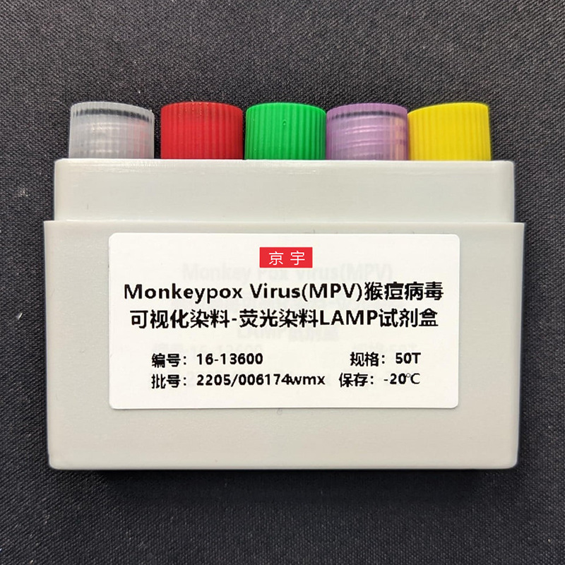 京宇MPV猴痘 LAMP PCR 检测试剂盒  MPV猴痘LAMP  检测试剂盒图片