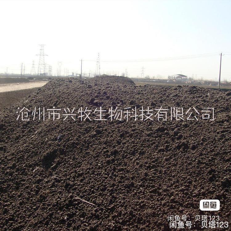 天津河北发酵鸡粪有机肥图片