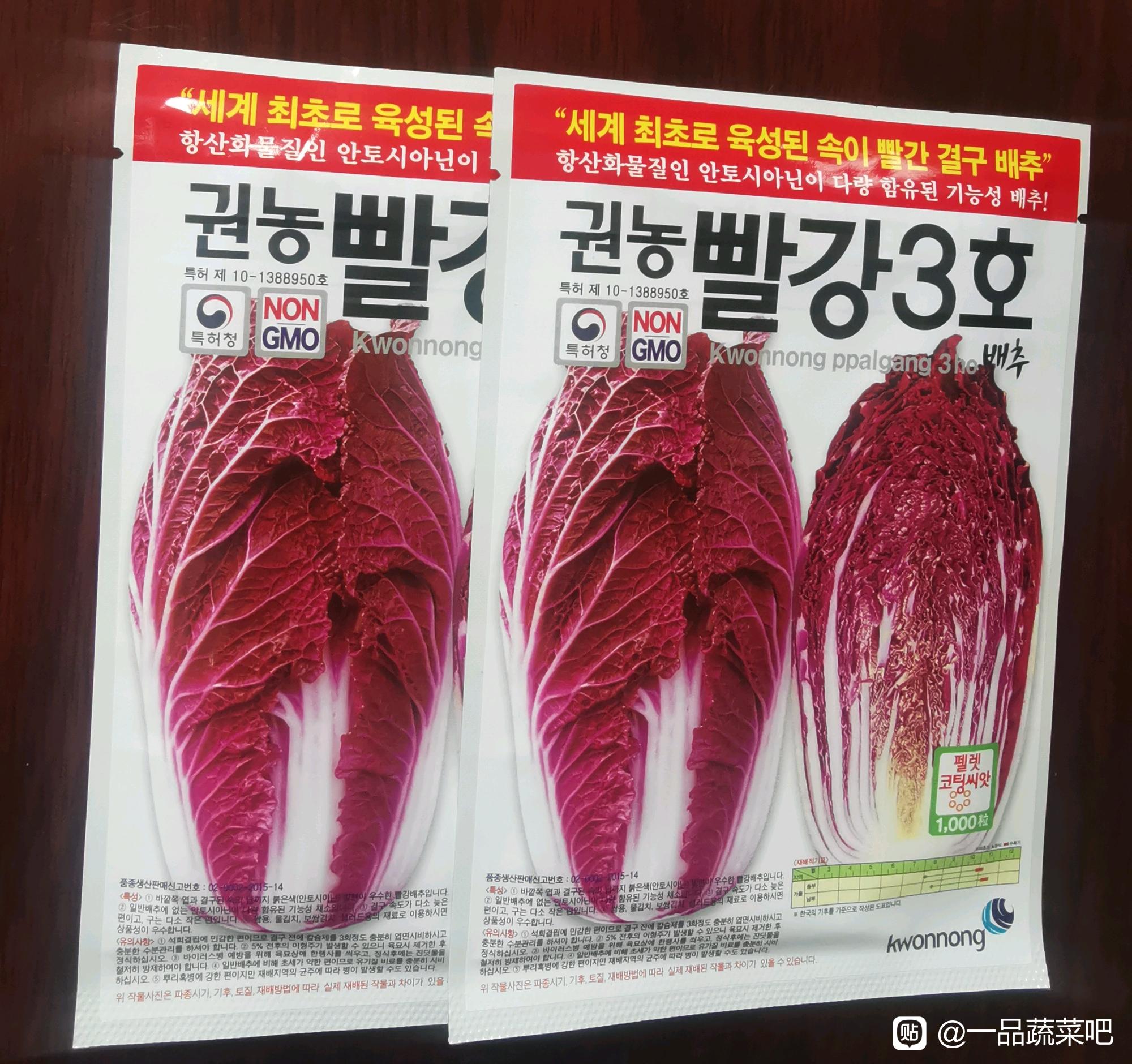 杂交一代韩国紫裔紫白菜种子