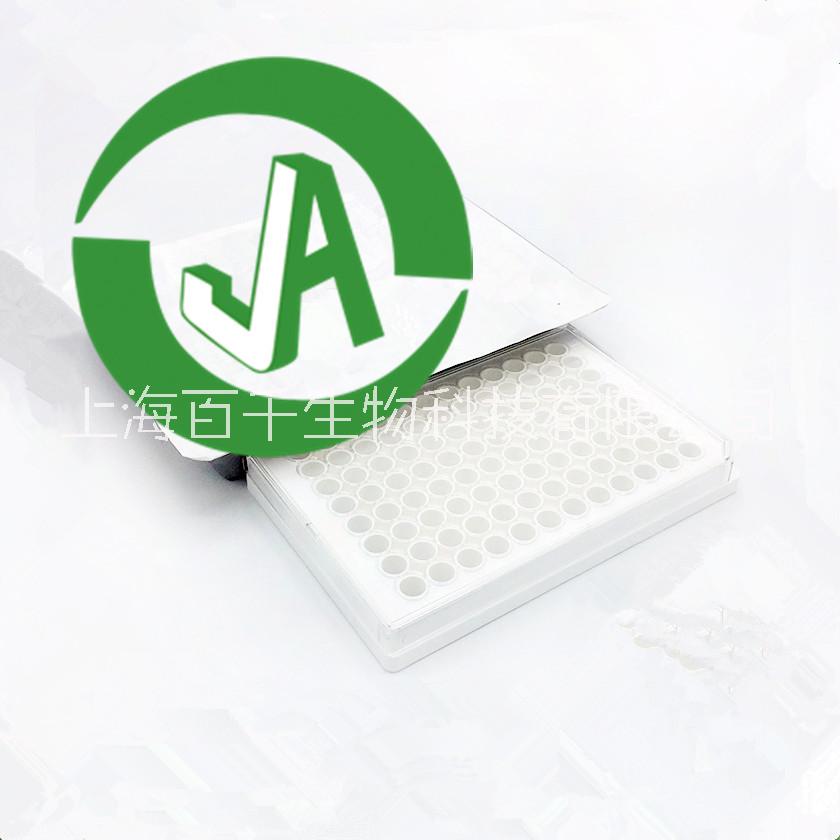 上海百千白色透明96孔细胞培养板（全白透明底部96孔平底酶标板）