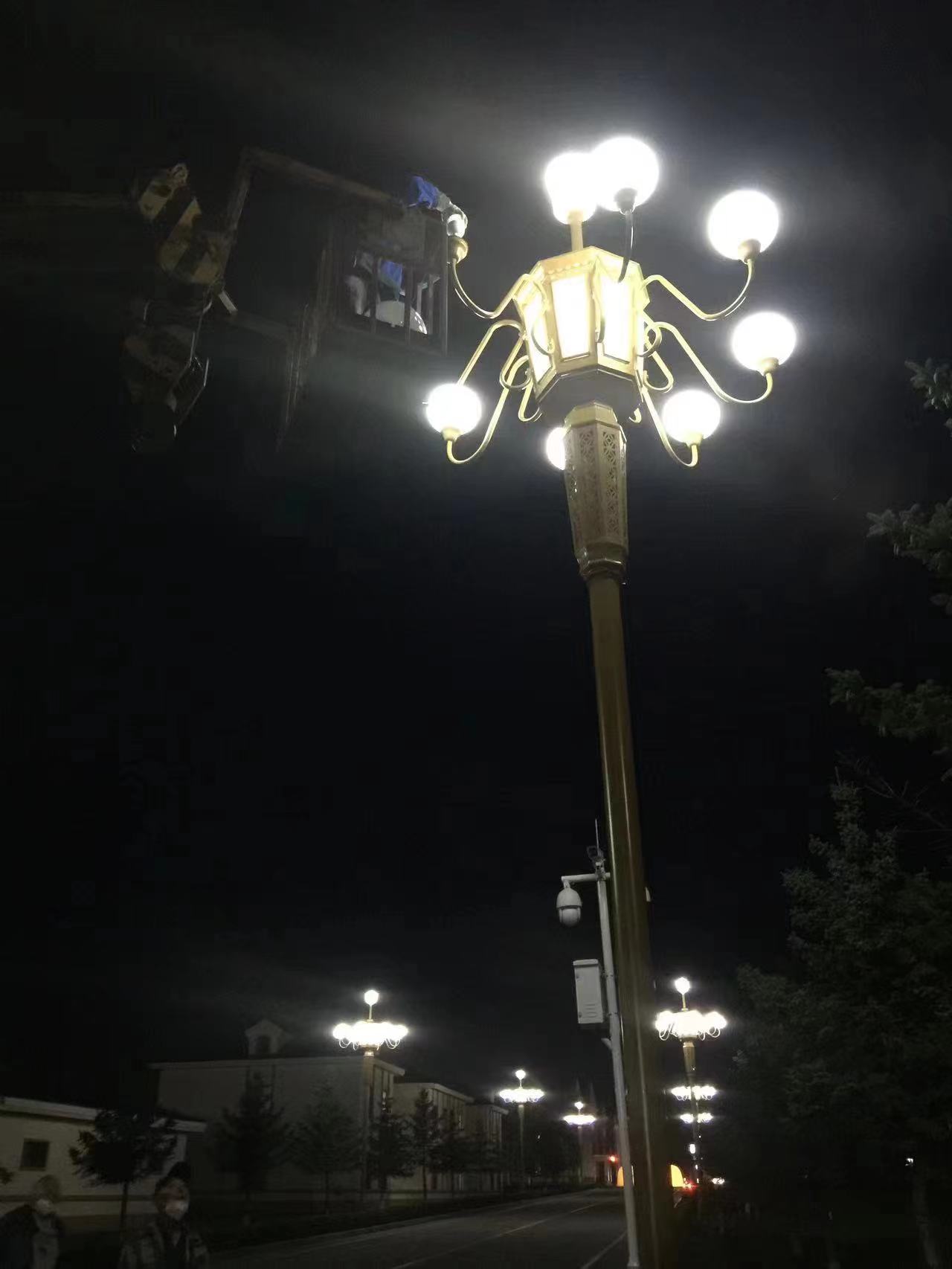 供应哈尔滨中博庭院灯，物美价廉图片