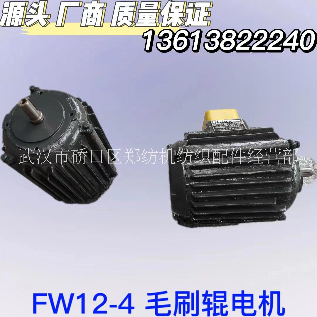 FW12-4梳棉机毛刷辊电机批发