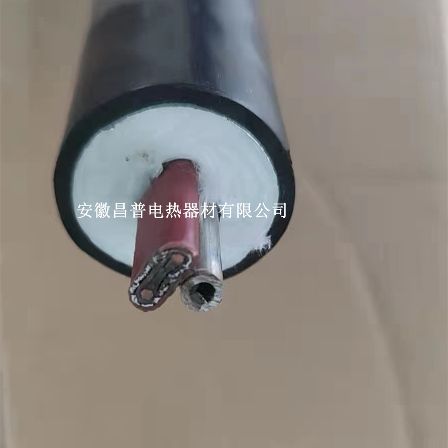 泰州SEMC烟气伴热管线图片