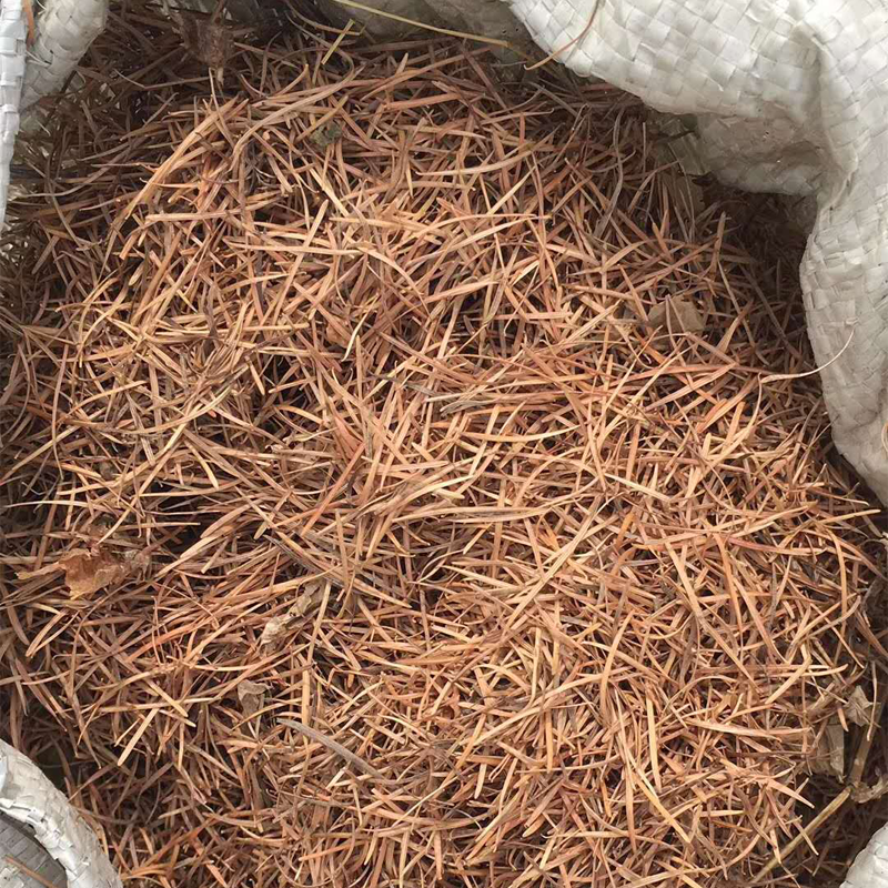天津市腐殖土，松针土，营养土厂家