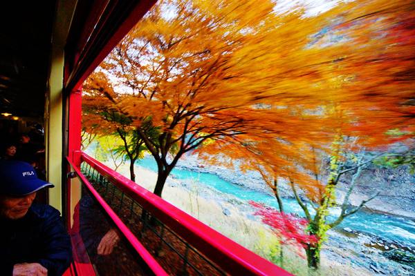 东莞去日本旅游|奈良，京都岚山看枫叶六天浪漫小火车之旅