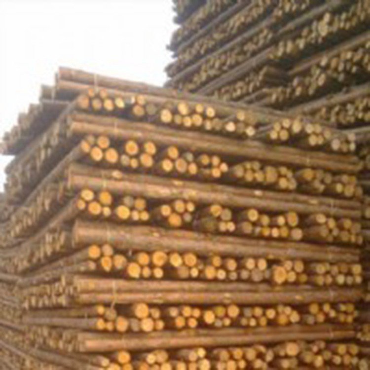 杉木杆种植基地杉木杆 园林绿化杉木杆  大量出售杉木杆 4米杉木杆  绿化支撑杉木杆 杉木杆种植基地