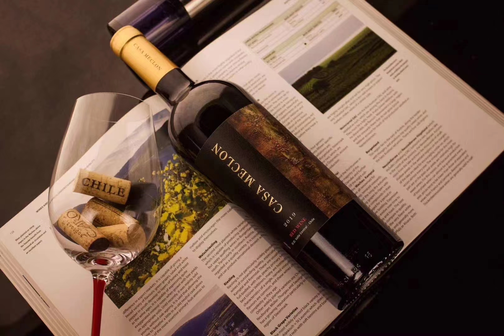 东莞市智利原瓶进口米卡龙葡萄酒进口商厂家智利原瓶进口米卡龙葡萄酒进口商批发代理一件代发