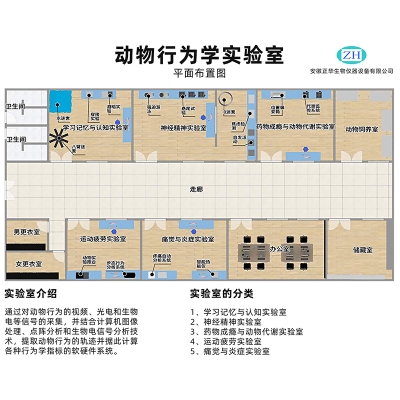 动物行为学视频分析系统 动物行为学分析软件