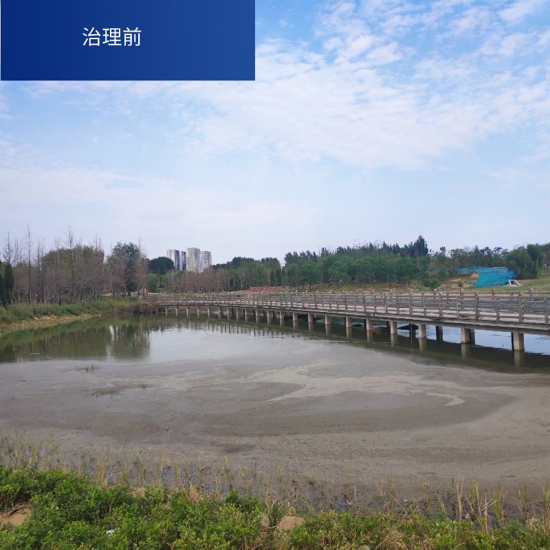 北京永固生态水治理公司 海淀生态水环境治理促进美丽河湖共享