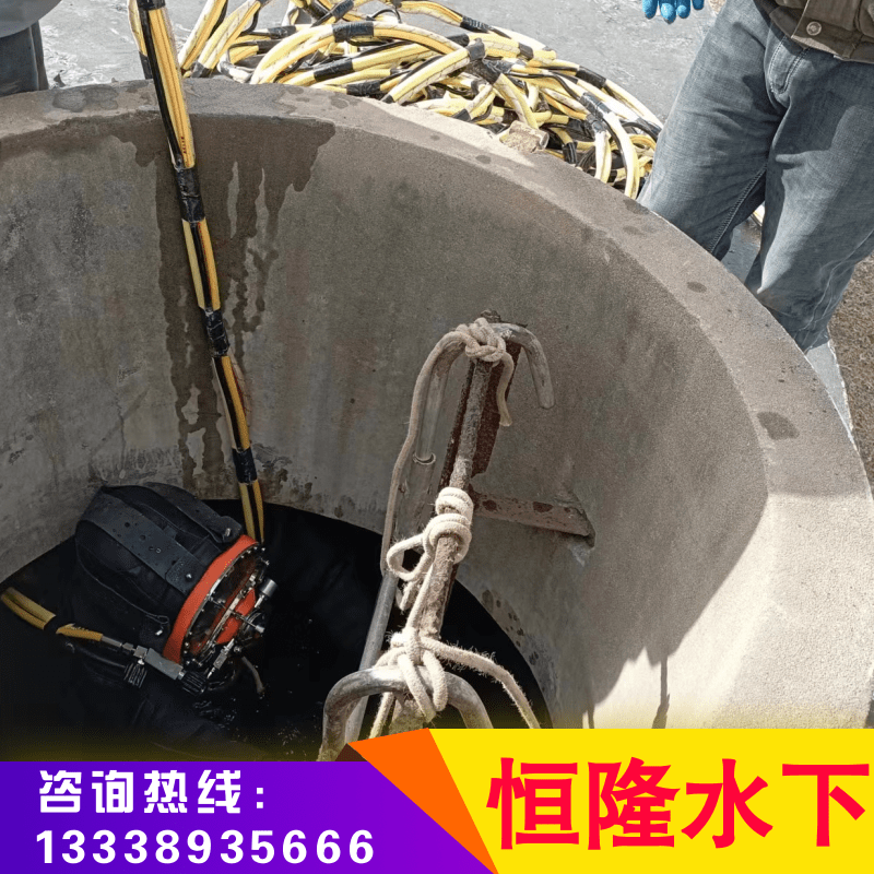 上海水下探摸作业-工程-价格-费用-检测（江苏恒隆水下工程有限公司）