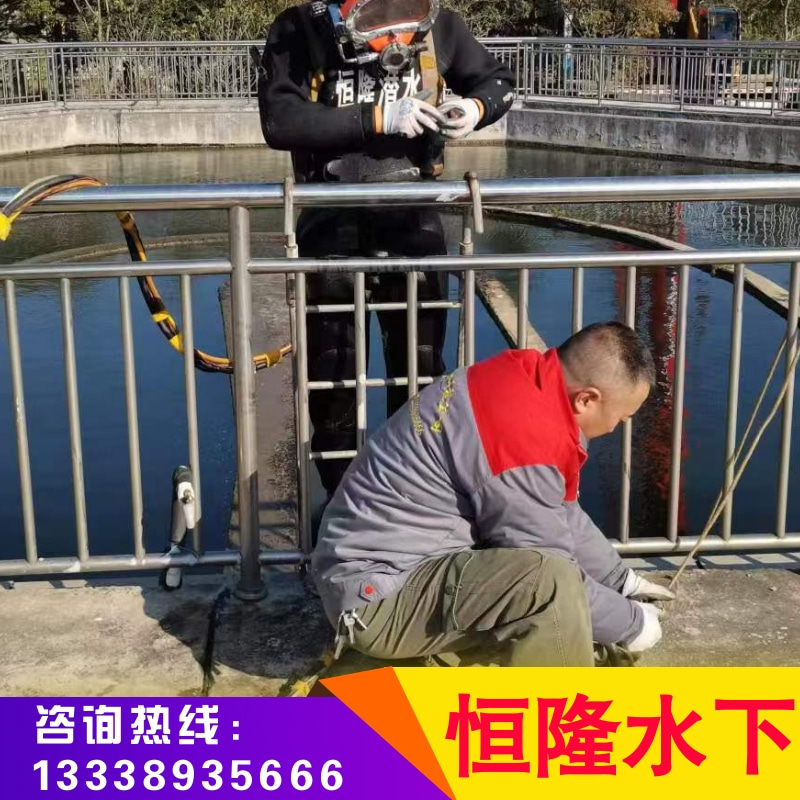 上海水下封堵公司-作业-水下管道封堵-工程（江苏恒隆水下工程有限公司）图片